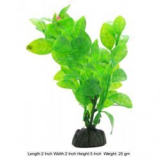 Aquascaper Aquarium Plant Lysimachia W Flower Mini
